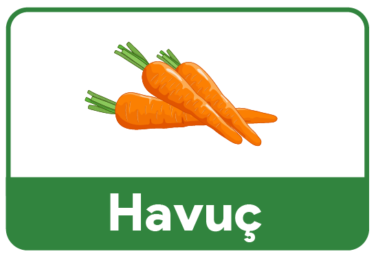 havuc-icerik