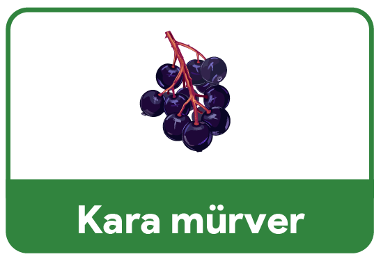 kara-murver-icerik